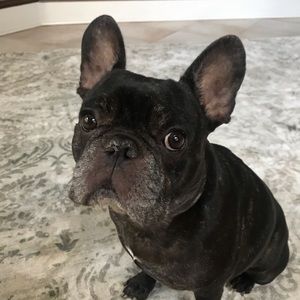 Meet your Posher, Gina